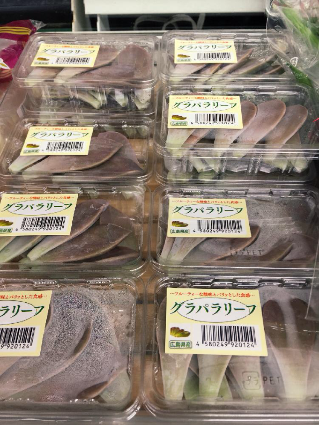 グラパラリーフの画像 by しーちゃんさん｜気になる(´ﾟωﾟ｀)と食用 (2015月10月1日)｜みどりでつながる?GreenSnap