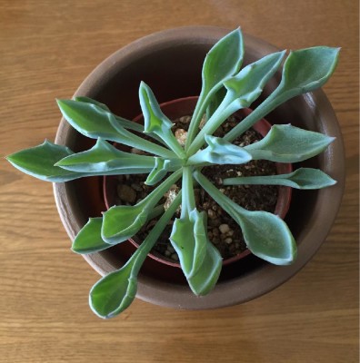 1456890004344_1456890003226_thum_tmp