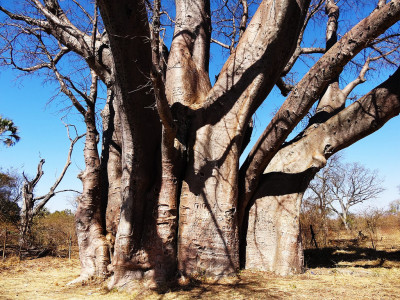 photo credit: FLIKR_0322 via photopin (license)