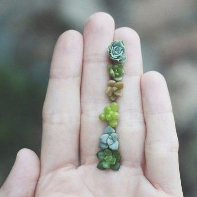 be39b979575a91db7b1f2af2f8c61f42