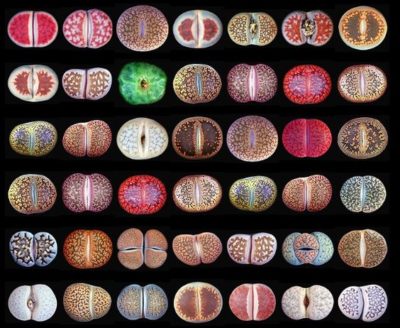 2f8ec084edf603f8ba91408189238785