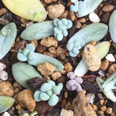 c52d686d0b973e11da55f3f27fb27823