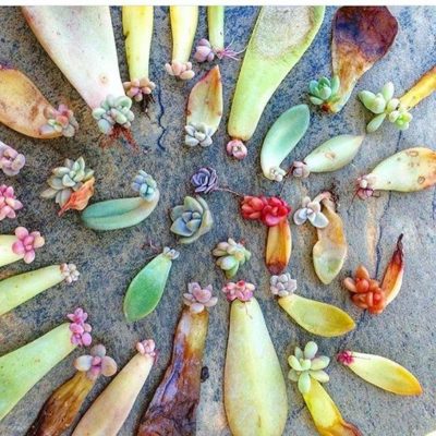 afb00940938eb506d32481bf64f58874