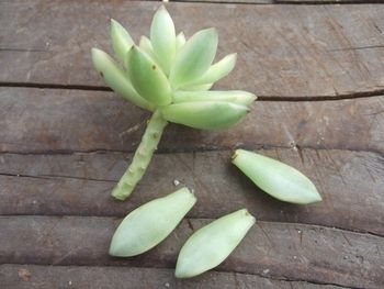 e15f1cc0f082da3685a8a71b7ee7d4f4