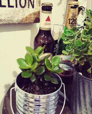 Photo by ゆきさちさん@GreenSnap