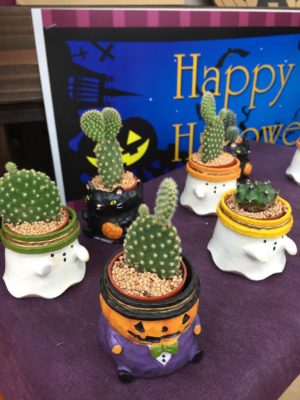 Photo by copiさん@GreenSnap