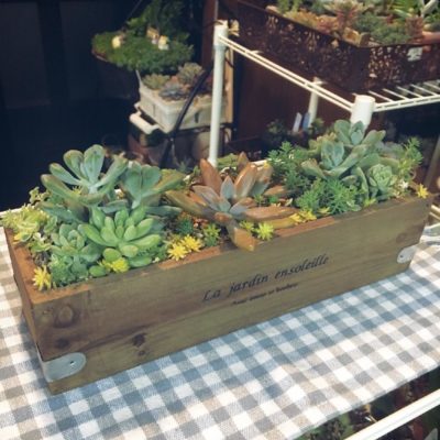 Photo by あらあらさん@GreenSnap