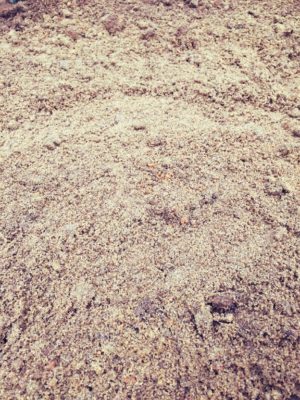 Photo by さとニックガーデンさん@GreenSnap