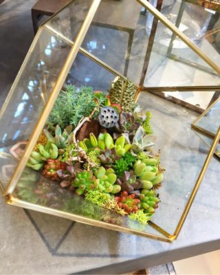 Photo by 花ママさん@GreenSnap