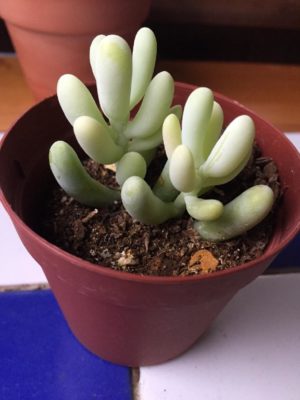 Photo by a4さん@GreenSnap