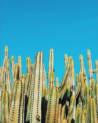 61c3c023201d9bfa7b381194d085f092