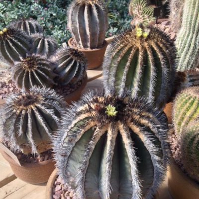 d6eb0f8aeb3519ab950f1e8320acde0b