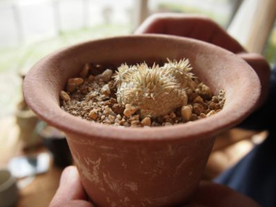 Photo by Unfloatさん@GreenSnap