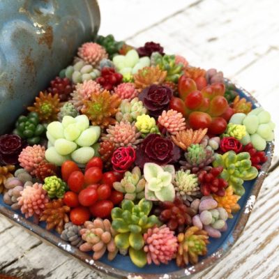 Photo by 000mai000さん@GreenSnap