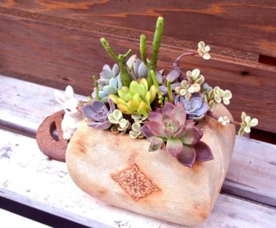 Photo by tukurico rinkoさん@GreenSnap