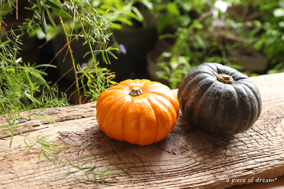 a piece of dream20161023-1