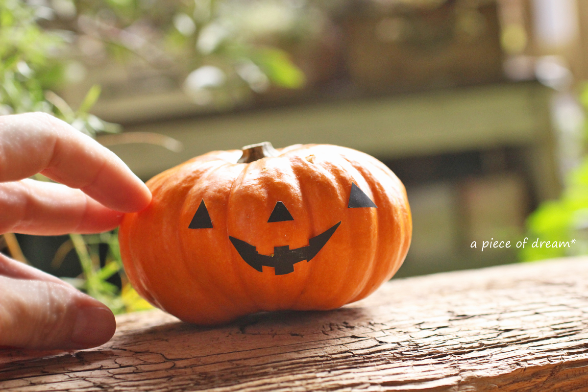 a piece of dream20161023-2