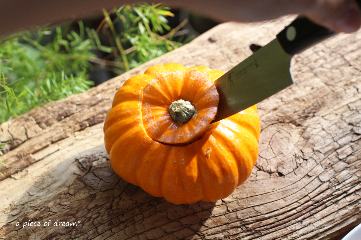 a piece of dream20161023-3