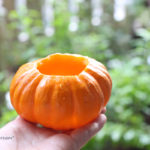 a piece of dream20161023-5