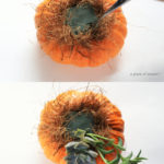 a piece of dream20161023-9