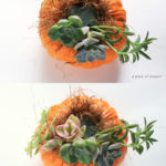 a piece of dream20161023-10