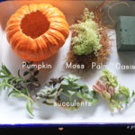 a piece of dream20161023-7