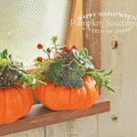 a piece of dream20161023-11