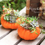 a piece of dream20161023-14