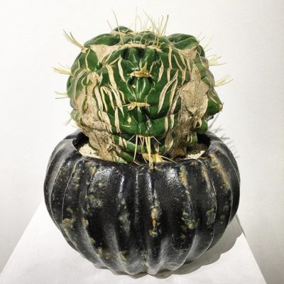 出典元：Instagram