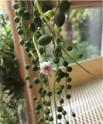 スクリーンショット 2016-10-27 9.23.17