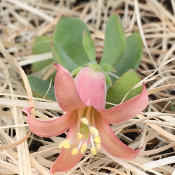 1476068212280_thum_1476068211921_thum_tmp