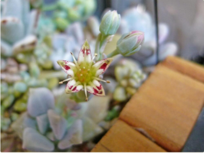 スクリーンショット 2016-10-27 9.26.09