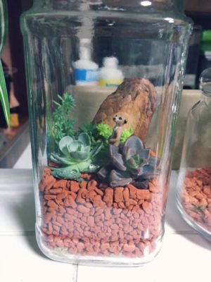 Photo by あっちゃんさん@GreenSnap