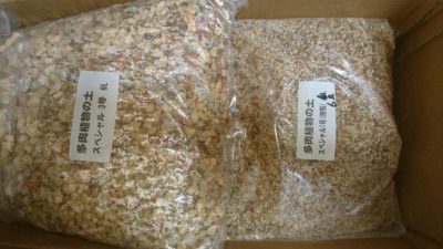 Photo by doctor徒長クララさん@GreenSnap