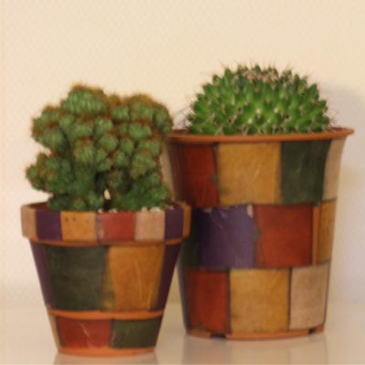 Photo by kurageさん@GreenSnap