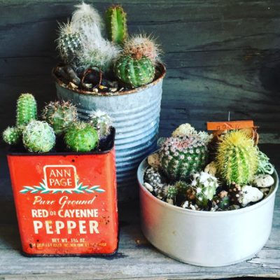 Photo by keychanさん@GreenSnap 