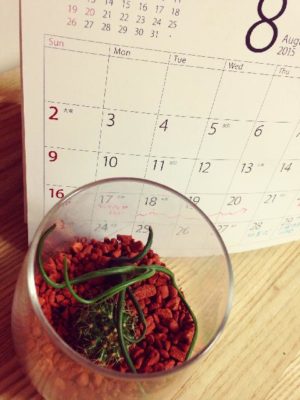 Photo by Rubyさん@GreenSnap