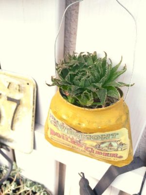 Photo by 松 祐さん@GreenSnap