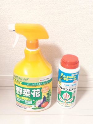 Photo by latte♡mamaさん@GreenSnap