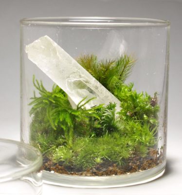 Photo by Ishiko Hidesakuさん@GreenSnap