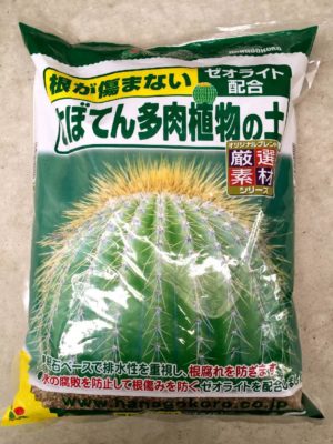 Photo by MIИOさん@GreenSnap