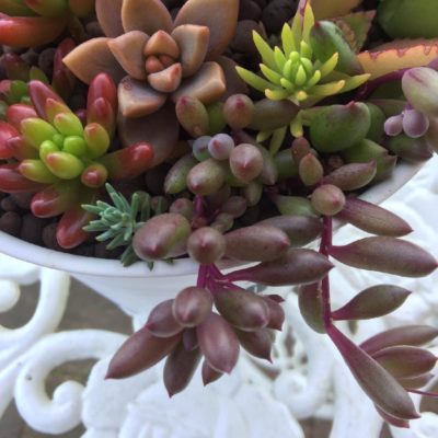 Photo by ブロンズ姫さん@GreenSnap