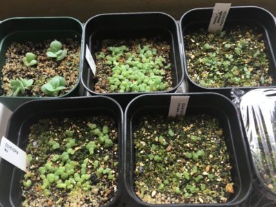 Photo by TMさん@GreenSnap