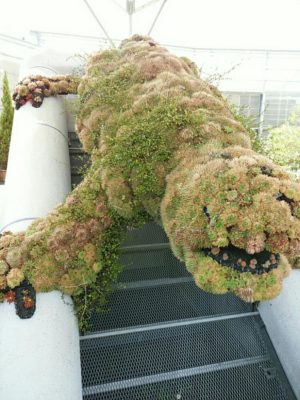 Photo by ふじふじさん@GreenSnap