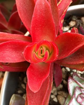 Photo by 花ママさん@GreenSnap