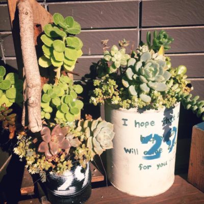 Photo by ぶりこらさん@GreenSnap