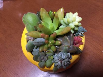 Photo by はなりさん@GreenSnap