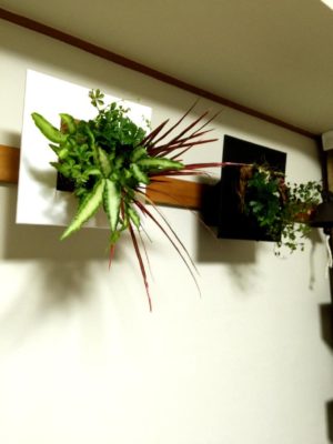 Photo by Ryutoman55さん@GreenSnap