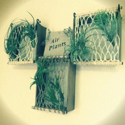 Photo by tsukikoさん@GreenSnap