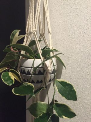 Photo by ak_iさん@GreenSnap